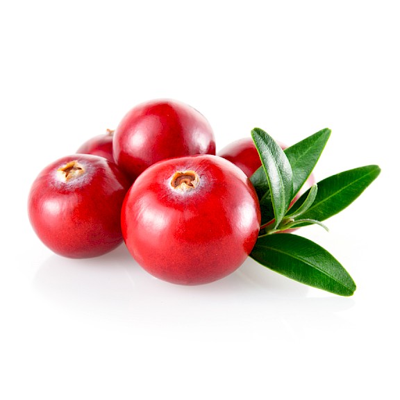 High quality cranberry extract