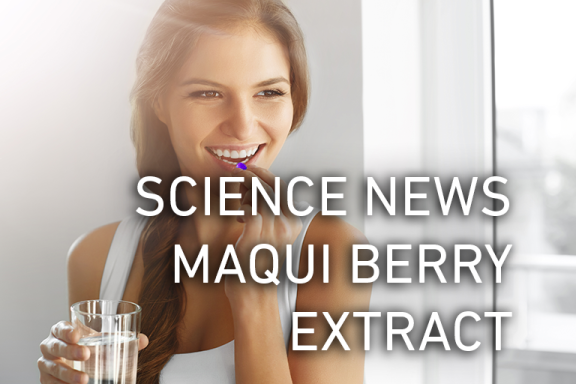 Bioavailability maqui berry extract