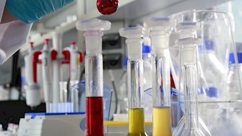 Video über die moderne Produktion von hochwertigen Pflanzenextrakten, hergestellt in Deutschland von der Anklam Extrakt GmbH